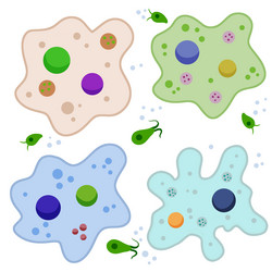 Protozoa Division Collection As Single Cell Eukaryote Biological Outline  Set Stock Vector - Illustration of magnification, primary: 246724111