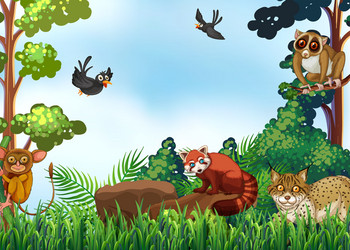 Cute set animals in jungle scene Royalty Free Vector Image