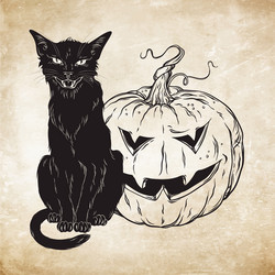 black cat sitting with halloween pumpkin over old vector