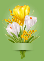 Spring card with crocus border Royalty Free Vector Image