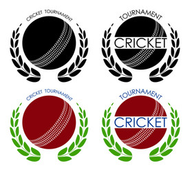 symbols sport ball for cricket on white vector