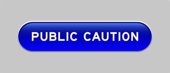 blue color capsule shape button with word public vector image