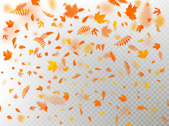 effect of autumn falling leaves layer with shallow vector image