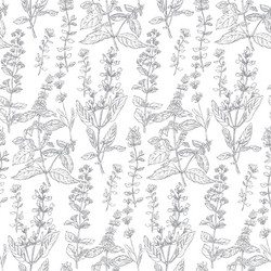 Hand drawn herbal sketch seamless pattern Vector Image