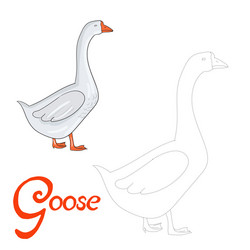 Educational game connect dots to draw goose bird vector