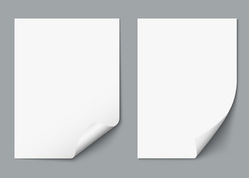 Empty paper sheet Royalty Free Vector Image - VectorStock