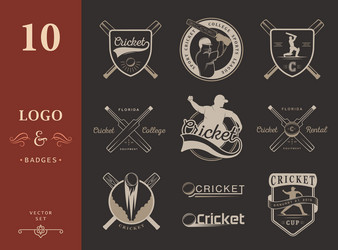 set of badges cricket vector