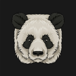 head of panda bear face wild animal hand drawn vector