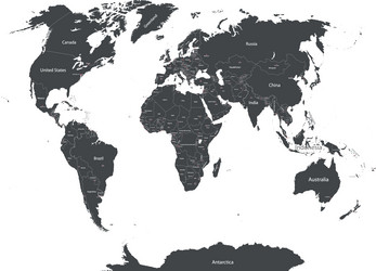world map high detailed Vector Image