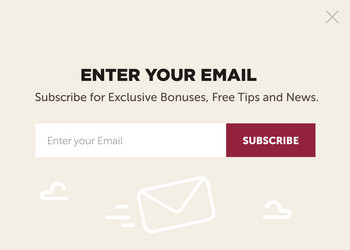 design of the website form for email subscribe vector image