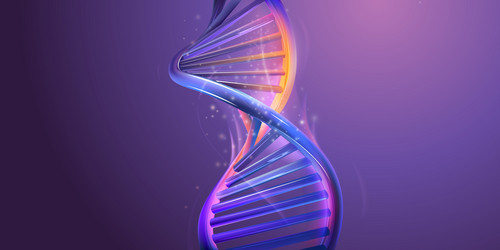double helix structure of abstract dna model vector image