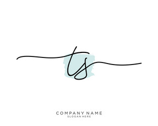 Ts initial handwriting logo design Royalty Free Vector Image