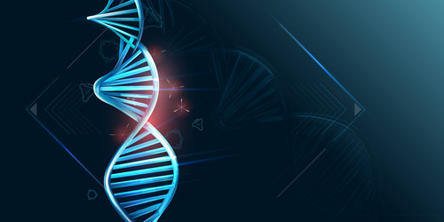 double helix dna and hud elements on dark vector image