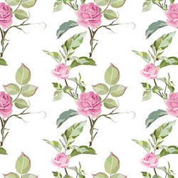 Pink Rose Garland Pattern Vector Image