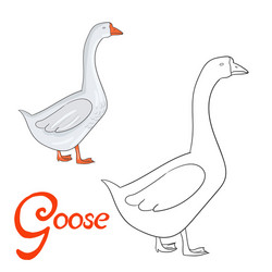 educational game coloring book goose bird vector