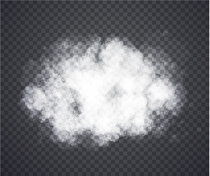 fog or smoke vector image