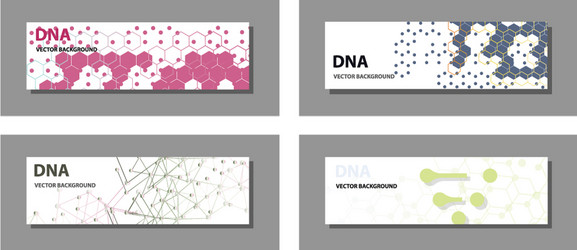 set of 9 templates for presentation slides vector image