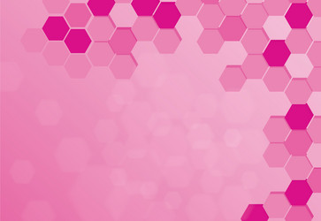 Pink Abstract Hexagon Pattern Background vector image