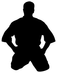 silhouette kata karate athletes Vector Image