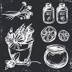 Ayurveda hand drawn set vector