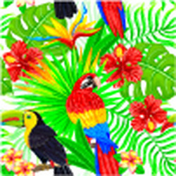 Tropical Bird & Leaf Pattern Vector Image