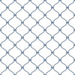 Nautical Net Pattern - Marine Style vector image
