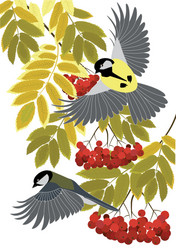 Tits Vector Images (over 3,000)
