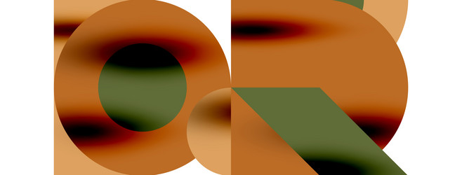circle pattern round elements with lines vector image
