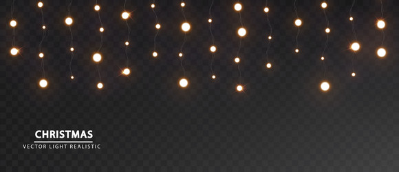 holiday lights garland isolated christmas vector