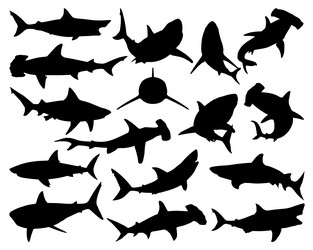 Shark Silhouette Art Vector Image
