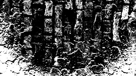 black white texture grunge aged concrete vector