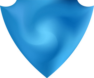 mesh background with a simple color form vector image