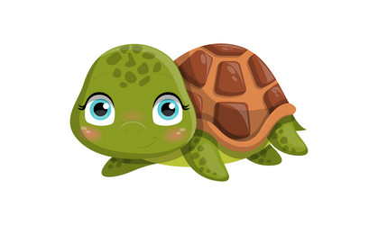 Turtle Royalty Free Vector Image - VectorStock