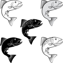 Salmon Fish Silhouette Collection Vector Image