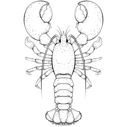 Icon crayfish Lobster stock vector Illustration of boil  113505035