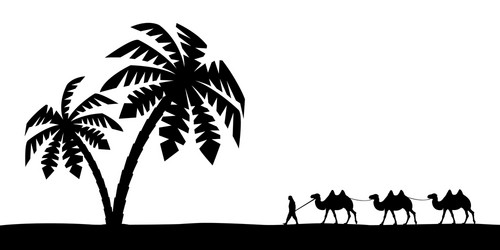 Man on camel in palm trees vector