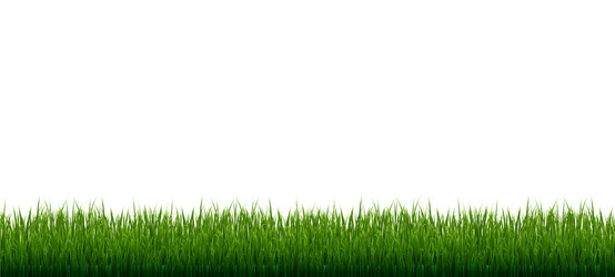 Green grass border with flowers and sun isolated Vector Image