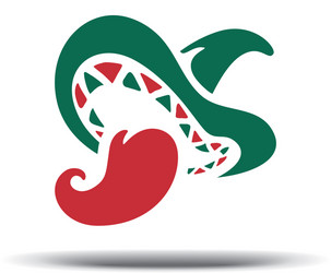 Mexican hat and pepper vector