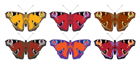 Set peacock eye butterflies with open wings vector