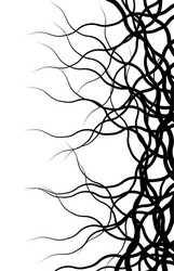 weird lines from edge abstract monochrome pattern vector image