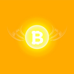 bitcoin cripto currency blockchain flat vector image