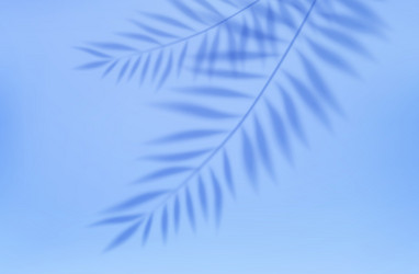 empty studio abstract background vector image