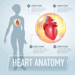 Heart infographics banner vector