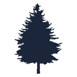 Pine tree silhouette tree high quality Royalty Free Vector