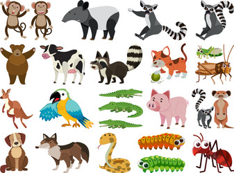 set isolated objects theme animals vector