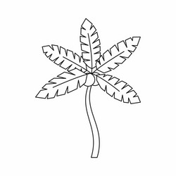 palm tree with coconuts icon outline style vector image