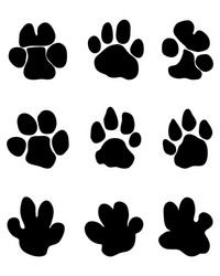 Hippopotamus Footprints Vector Image