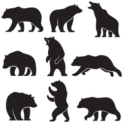 Bear Silhouettes Collection Vector Image