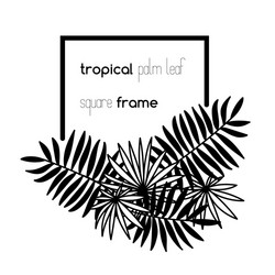 square copyspace frame with palm leaves vector image