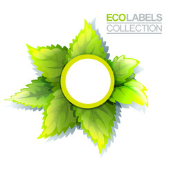 Green eco label Royalty Free Vector Image - VectorStock